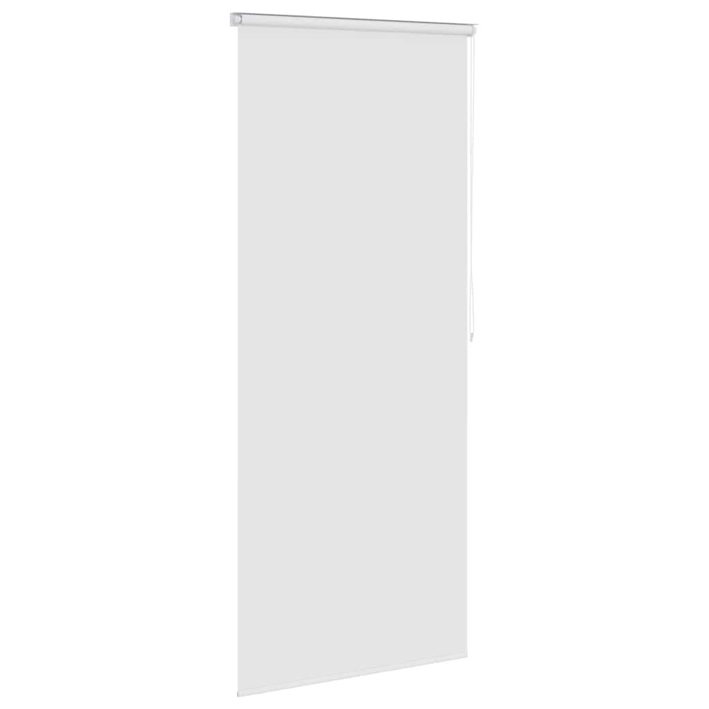 Tenda a Rullo per Doccia 100x240 cm Bianco