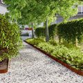Bordure per Prato 10 pz 10x103 cm Flessibili in Acciaio Corten