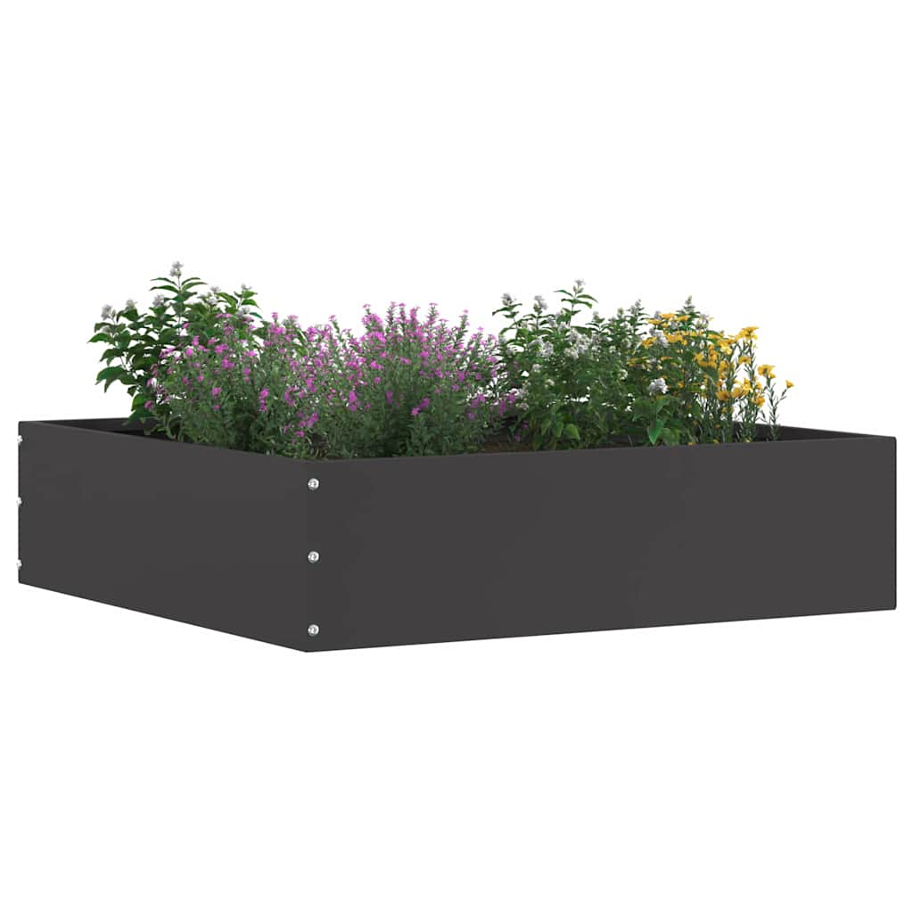 Bordura per Prato Nero 50 x 50 x 13 cm Acciaio