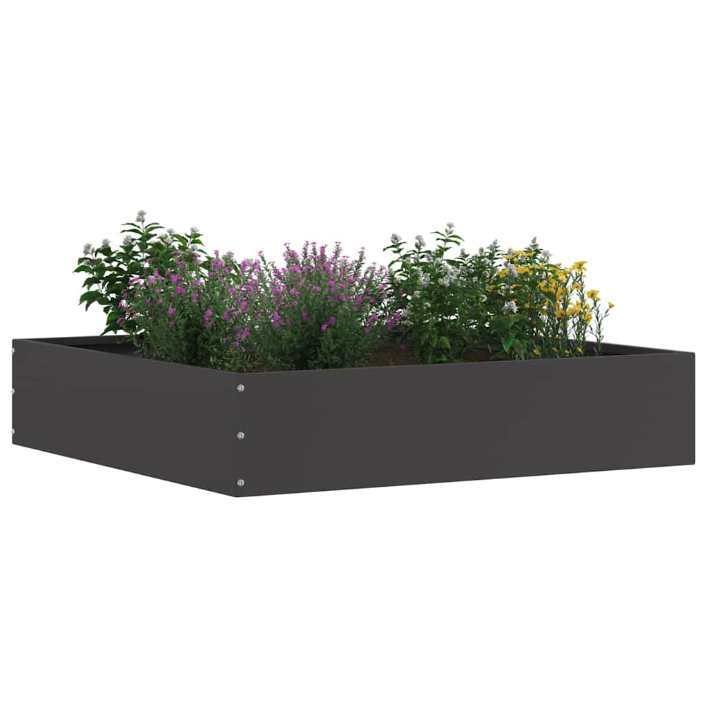 Bordura per Prato Nero 60 x 60 x 13 cm Acciaio