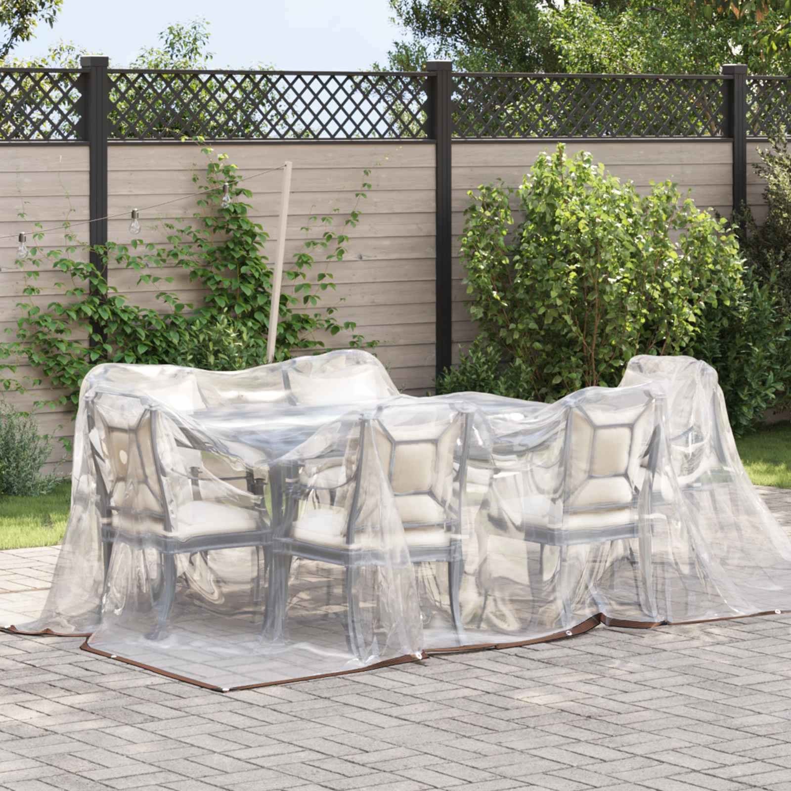 Tarp Trasparente 5 × 3,5 m PE